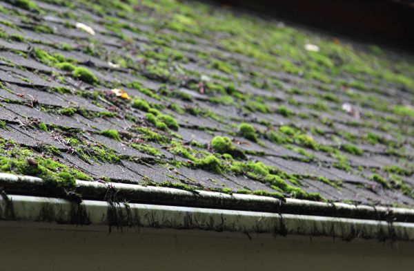 Roof Cleaning And Moss Removal