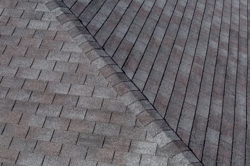 Asphalt Shingles Cleaning