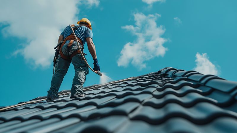 Roof Cleaning For Asphalt, Tile, And Metal Roofs